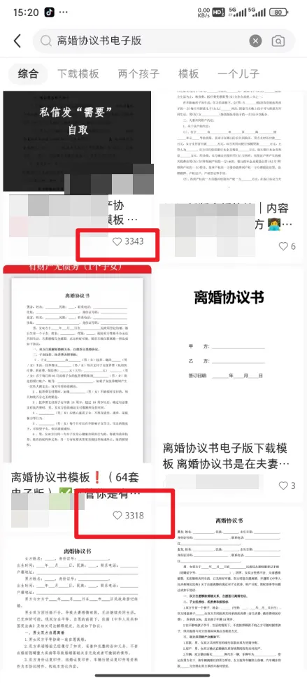 小红书离婚协议书项目，简单复制，月入20000+（附详细教程）-网络变现指南