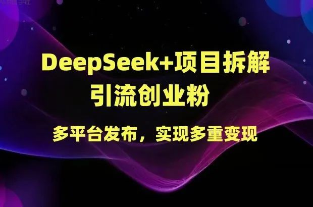 引流创业粉教程，DeepSeek+项目拆解，多平台发布，实现多重变现-网络变现指南