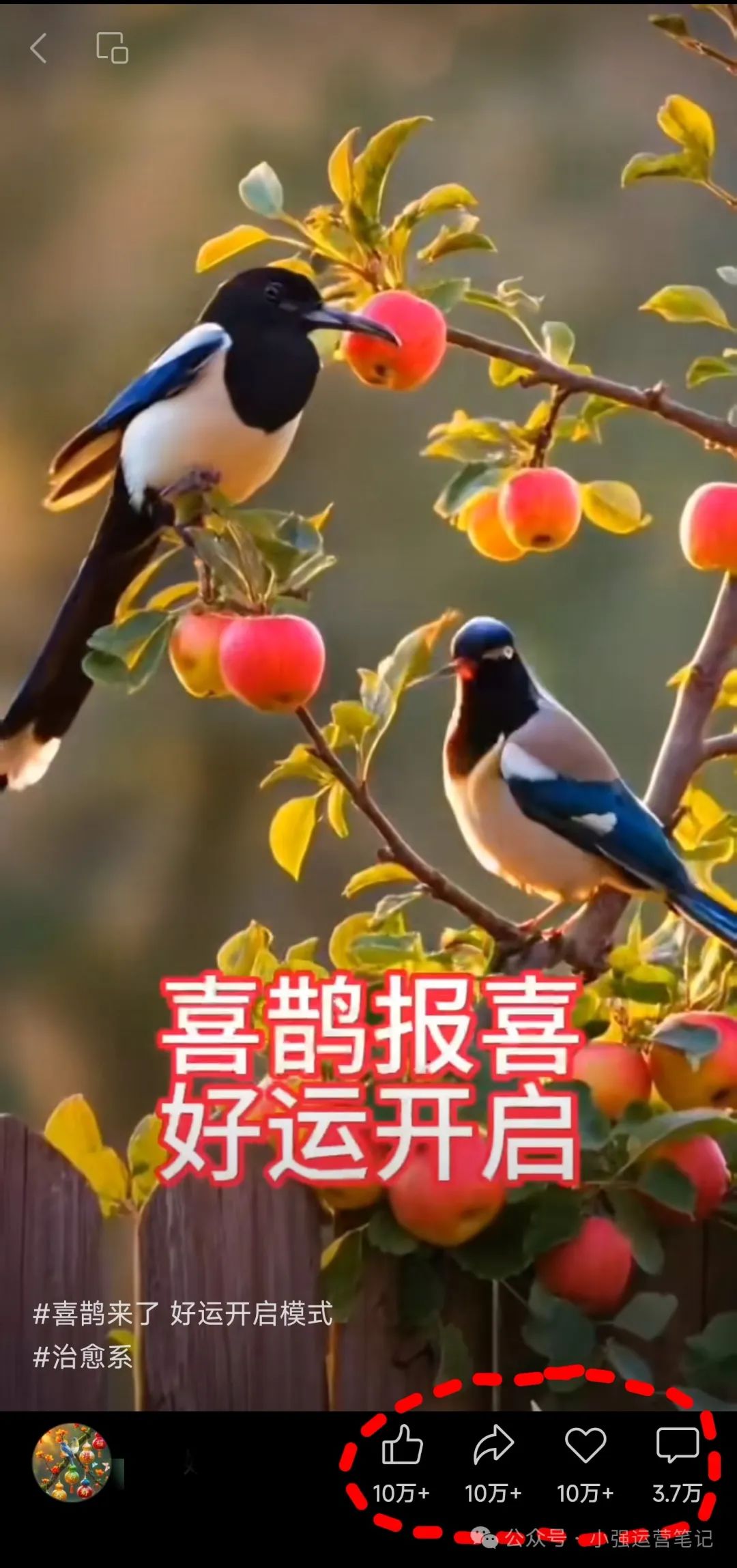 一天收入200+,微信这个发视频赚钱项目,下班在家就能做(推荐副业党)插图 一天收入200+,微信这个发视频赚钱项目,下班在家就能做(推荐副业党)插图